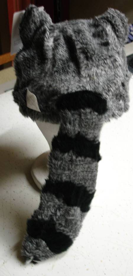 raccoonback.jpg